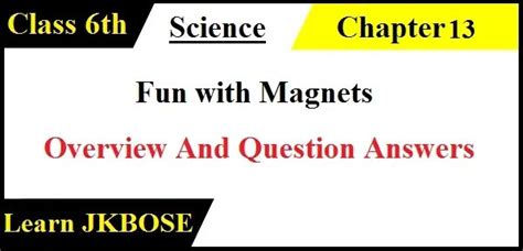 Class 6 Science Fun with Magnet Question and Answer 的图像结果
