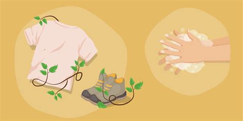 Guide to Removing Poison Ivy from Clothes | Outdoor Blog