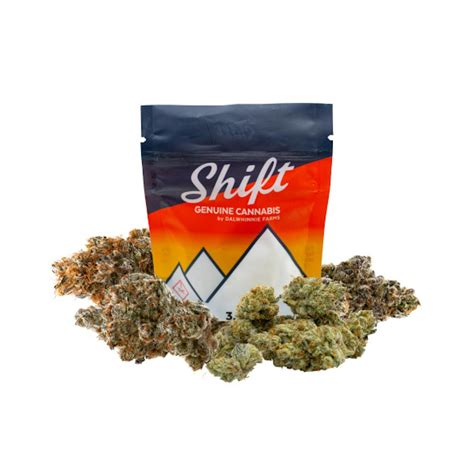 Shift | Glaciers | 28g Flower - Shift Cannabis