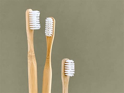 Image result for First Toothbrush