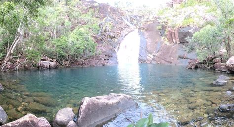 Hinchinbrook Island Tourism (2021): Best of Hinchinbrook Island ...