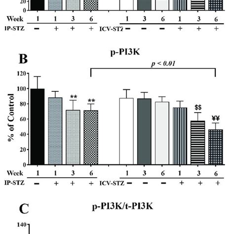 Image result for PI3K PIP PIP2 PIP3