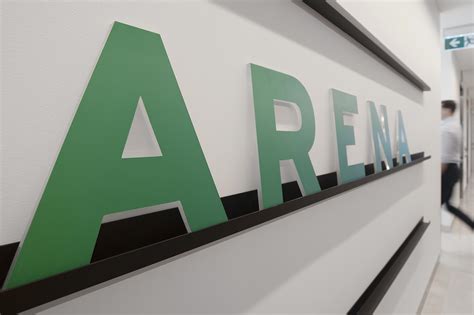 Arena Program 的图像结果