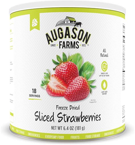 Buy Augason Farms Freeze Dried Whole Blueberries 12 oz No. 10 Can ...
