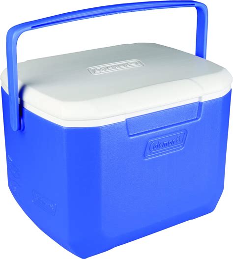 Buy COLEMAN 5 QT Ice Box (4.7 Liter) with Storage Capacity - 6 Cans and ...