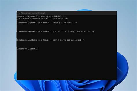 Image result for PIP Remove Package