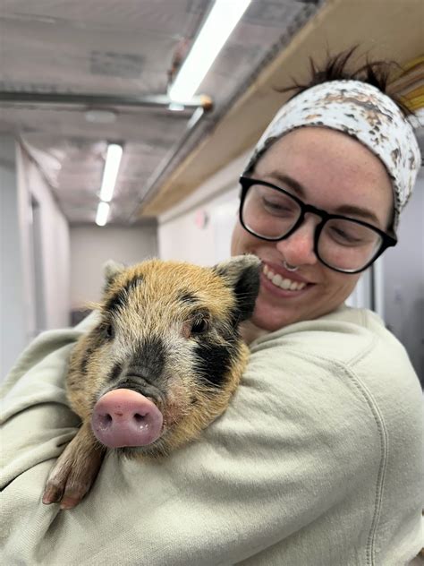 Wrentham Animal Hospital | Wrentham MA Vet