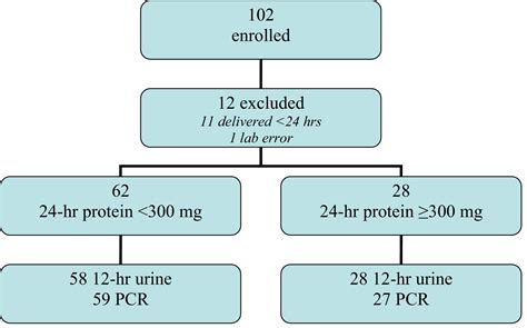 Protein Creatinine Ratio Interpretation In Pregnancy at Dennis Aguayo blog