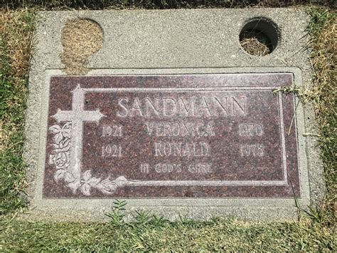 Image result for Ronald Sandmann