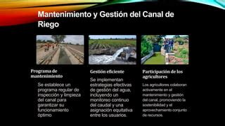 Image result for Increasing and Decreasing Positive/Negative Function Examples