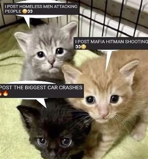 grey aliens telepathically influence humans, the power of the alien ...