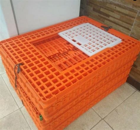 KERANJANG AYAM PLASTIK RABBIT TIPE 9006 | BOX AYAM POTONG