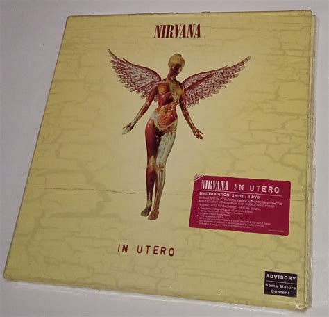 Compact Disc Nirvana - In Utero 20th Anniversary Deluxe 3 x CD 1 x DVD ...