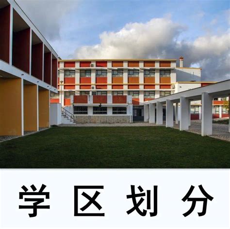 2022宁波市镇海区初中学区划分示意图一览- 宁波本地宝
