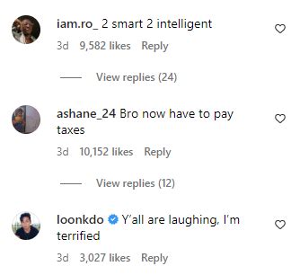 Watch: Orangutan Takes Off Man's Jacket And Wears It