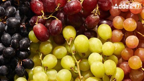 Most Grapes Exporting Country in the World