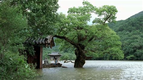 Image result for Spring Summer Fall Winter and Spring 2003