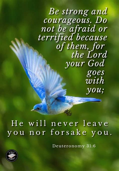 Deuteronomy 31:6 NIV - Picture Bible Verses