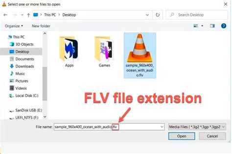Image result for FLV File Player