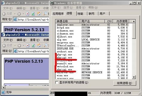 CGI Script in PHP 的图像结果