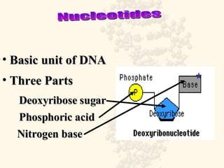 DNA Basic Unit 的图像结果