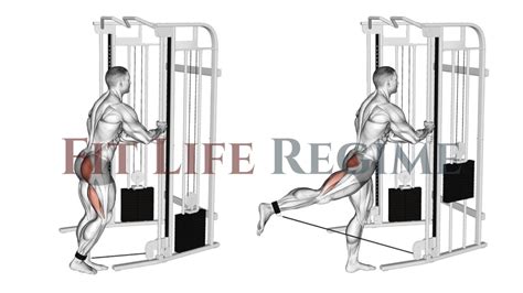 Image result for Contralateral Exercises Cable Machine