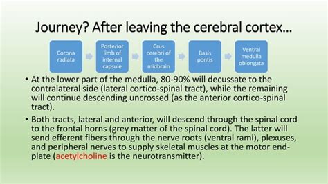 Image result for Contralateral Weakness