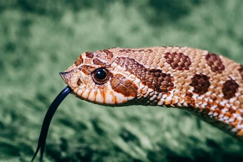 Image result for Visual Studio Code Program Examples