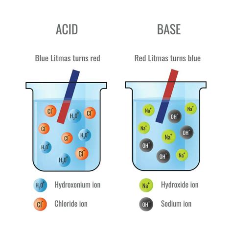 Image result for Acid and Base Neutralization
