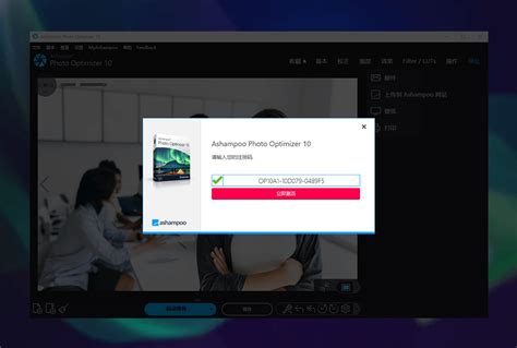 Ashampoo Colorizer 的图像结果