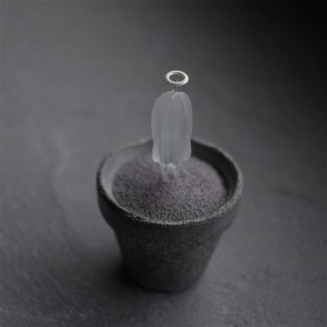 サボ天使（pillar boss） | echidna