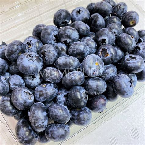 Jumbo Driscoll's Sweetest Batch Blueberry (312g punnet) — MomoBud