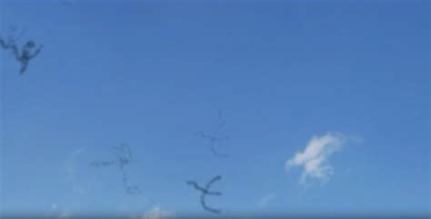 Miodesopsias, las famosas moscas volantes - Clínica Castellote