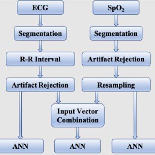 Image result for Data Processing Steps in Research