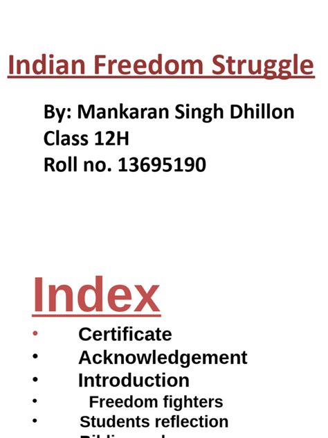 Indigo Class 12 Project File 的图像结果