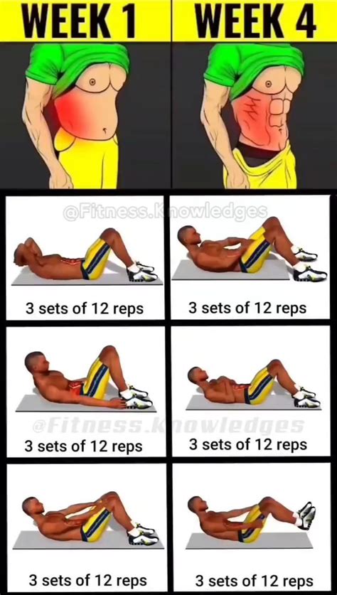 Bodybuilding Workouts 的图像结果