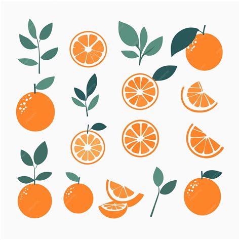 Orange and leaves collection drawing set | Premium AI-generated vector