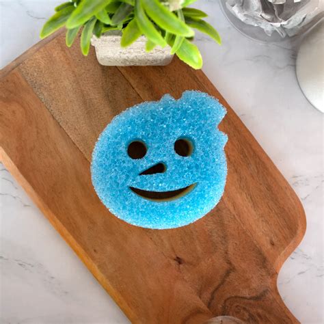 Scrub Daddy Essentials – Scrub Daddy