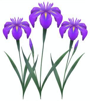 Image result for OLX Algorithm in Python Full-Stack