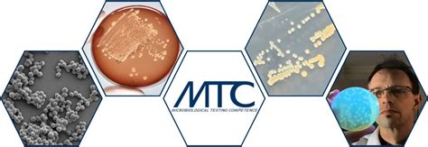 MTC Testing 的图像结果