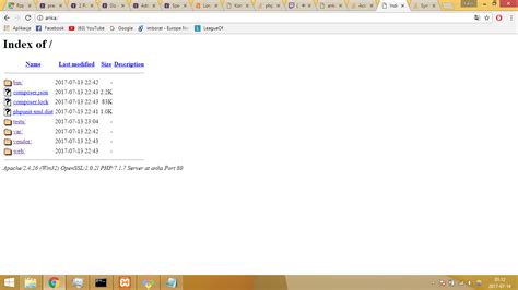 Localhost Project 的图像结果