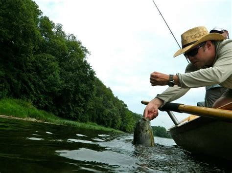 Excellent Fishing Experience! - Reviews, Photos - Big River Fly Fishing ...