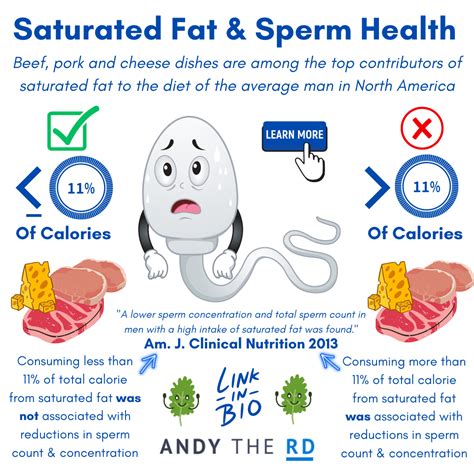 Nutrition For Optimal Sperm Health [Male Fertility] - Andy The RD