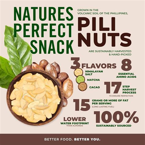 LairdSuperfood Buy Laird Superfood Matcha Pili Nuts - 3 Pack at Ubuy India