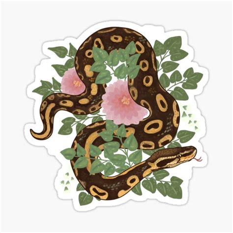 Image result for Red Bubble Ball Python Sticker