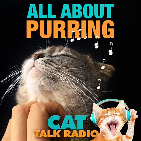 Image result for Purring Discord Server