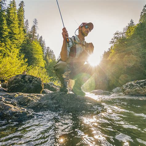 Fly Fish 的图像结果