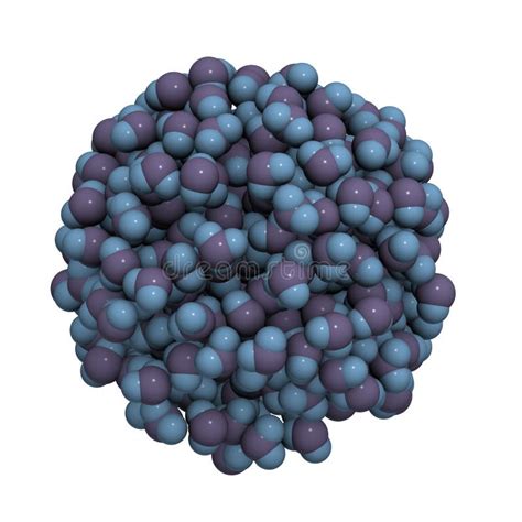 Water 的图像结果