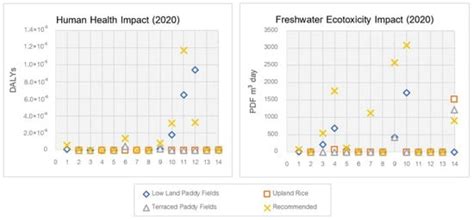 Environmental, Human and Ecotoxicological Impacts of Different Rice ...