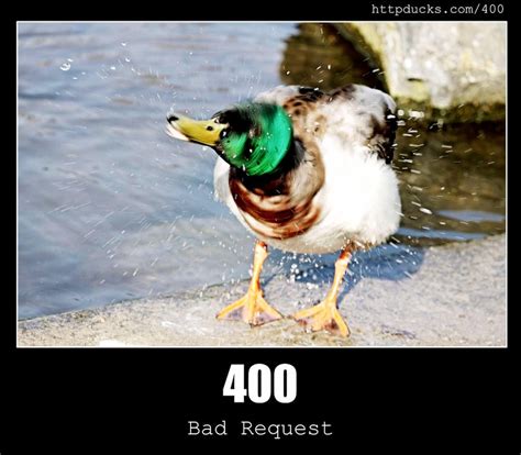 Image result for HTTP Status 400 Bad Request